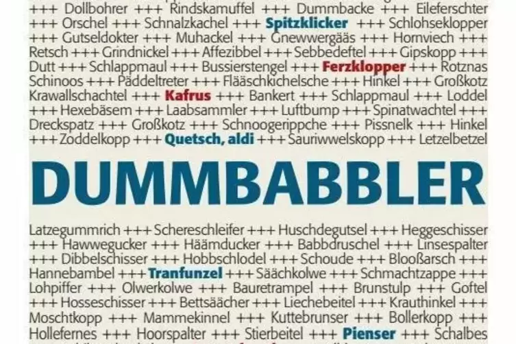 Pf&auml;lzer Schimpfw&ouml;rterAuch dieses Plakat verlosen wir, und zwar 20-mal. 