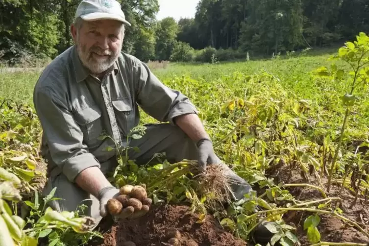 Karl Gortner aus Lambsborn gehört zu den professionellen Kartoffelanbauern im Landkreis. 