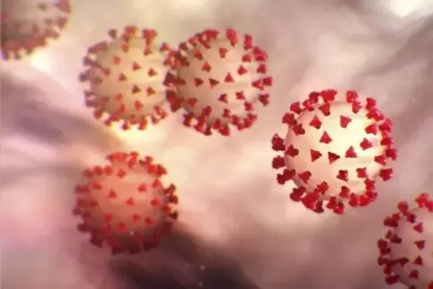 Das Coronavirus. 