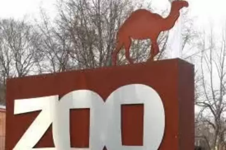 Zoodirektor Jens-Ove Heckel rechnet mit VErzögerungen. 