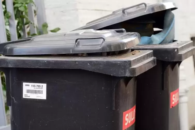Auch in Sachen Müllentsorgung kommt der Abfallwirtschaftsbetrieb des Kreises den Bürgern entgegen. 