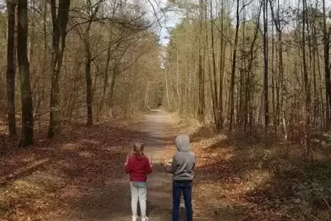 Statt Spielplatz: Bei einem Spaziergang im Wald – wie hier in der Nähe von Dudenhofen – können Kinder wie Erwachsene ein bissche