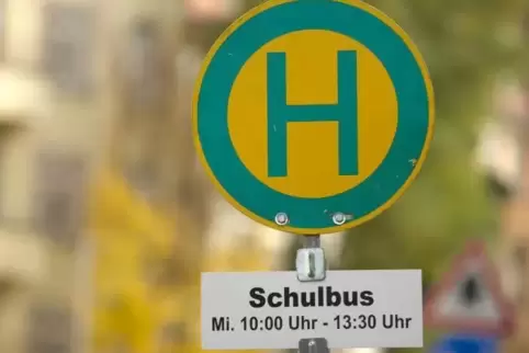 Der Landkreis Südliche Weinstraße weigerte sich aber ab dem Schuljahr 2015/2016, die Schülerbeförderungskosten des Jungen zu übe
