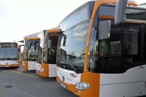 ma-rnv-busse-0855