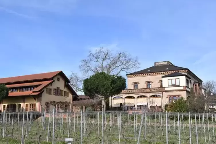 Die Villa Wolf. 