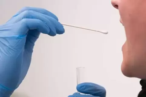 Nein, die Mitarbeiter des Gesundheitsamts in Ludwigshafen testen nicht. Aber sie bearbeiten alle bestätigten Fälle und verfolgen