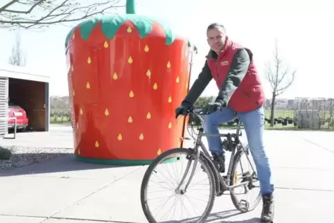 Christof Steegmüller bewirtschaftet rund 15 Hektar Ackerfläche. Jedes Jahr ernten er und seine Helfer etwa 15 Tonnen Erdbeeren –