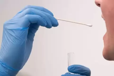 Bei Tests wurden in der Pfalz inzwischen 1300 Patienten registriert, die sich mit dem Coronavirus infiziert haben.