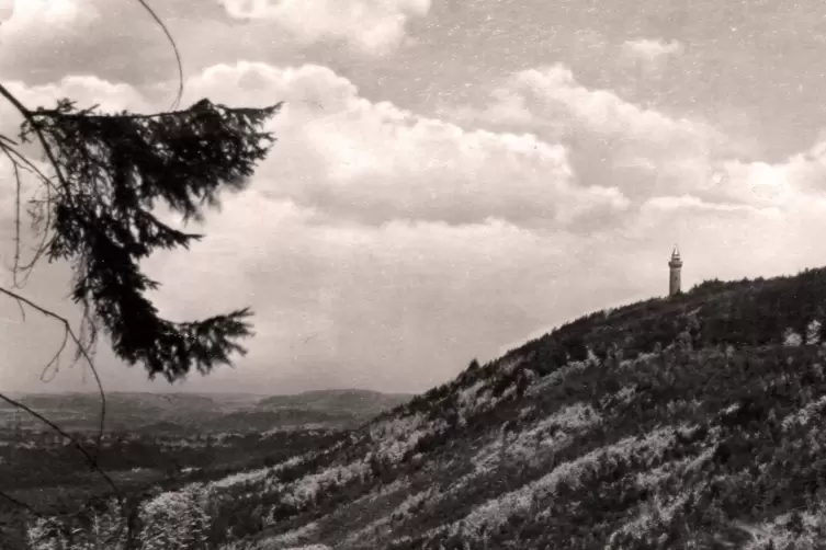 Der Humbergturm und der ihn umgebende Wald auf einer Ansichtskarte aus den 1930er Jahren, kurz nach der Aufforstung. 