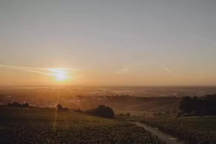 „Das Foto entstand im Herbst zum Sonnenaufgang auf der Höhe vom Leistadter Sonnenkreisel. Hinter Kallstadt liegen die Felder noc