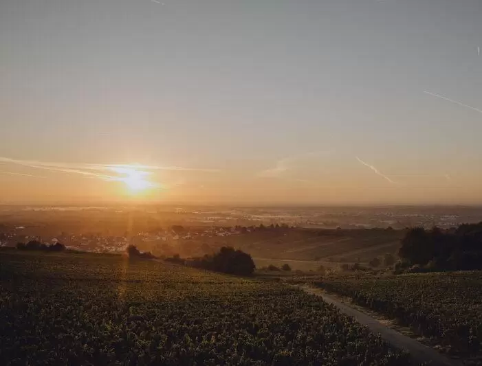 "Das Foto entstand im Herbst zum Sonnenaufgang auf der Höhe vom Leistadter Sonnenkreisel. Hinter Kallstadt liegen die Felder noc