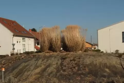 So sieht der Kreisel ohne Schotter aus. 