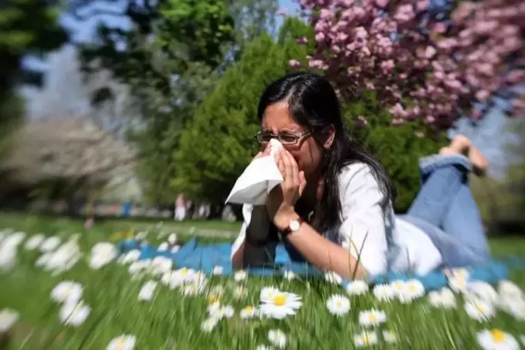 Allergiker reagieren sehr empfindlich auf Pollen.