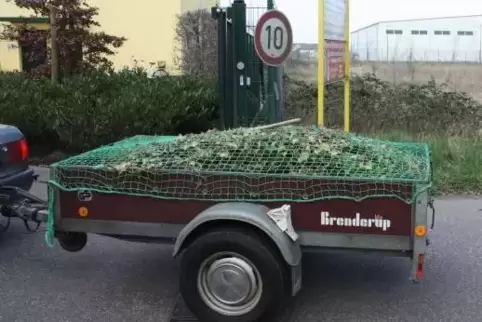 Viele Kreisbürger warten darauf, endlich ihren Grünschnitt entsorgen zu können.