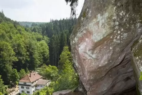 Mitunter geht es im Finsterbrunnertal steil berghoch. Der Blick zum Naturfreundehaus und über die Baumwipfel hinweg entschädigt 