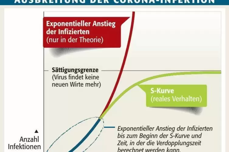 zwewachstumsprozesse