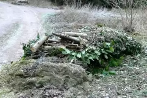 Bei Pirmasens wurde in den vergangenen Tagen viel Grünschnitt im Wald abgeladen, was illegal ist. Aus dem Landkreis gab es diesb