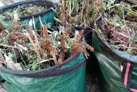 Grünabfälle können auch in der Woche im Landkreis abgegeben werden. 