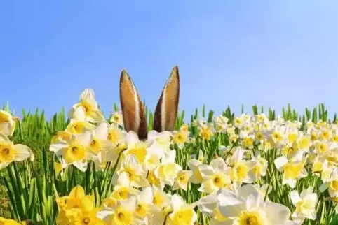 Süße Häschen in bunter Blumenwiese – die Populärkultur hat Ostern im Griff. Deshalb darf man ruhig ab und zu daran erinnern, wor