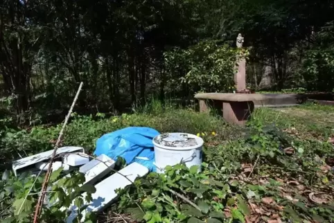 Nahe der Mariensäule in Dudenhofen entsorgt: ein Toilettenspülkasten, Badfliesen und Bauschutt. 