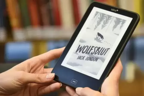 Viele Büchereien im Speyerer Umland bieten Onleihe an: Nutzer können Bücher in elektronischer Form ausleihen. 