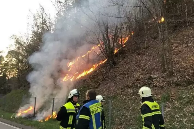 Bis zur Kreisstraße 25 hatte sich der Brand ausgebreitet. 