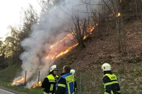 Bis zur Kreisstraße 25 hatte sich der Brand ausgebreitet. 