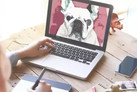 Solange sie im Computer bleiben, stellen Tiere im Homeoffice kein Problem dar. 