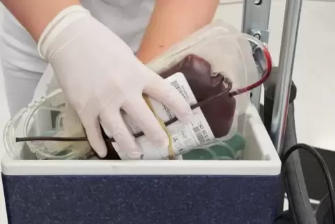 Ein Mitarbeiter des DRK verstaut einen Beutel mit Spenderblut.