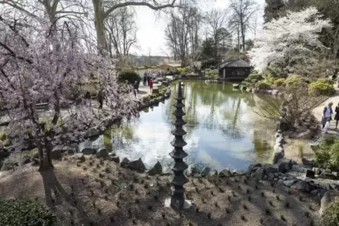 Ein Blick in den Japanischen Garten mit Blütenpracht.