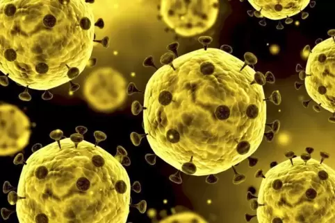 Das Coronavirus