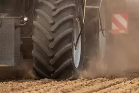 Auch aus Sicht der Landwirtschaft dürfte das derzeitige Wetter etwas feuchter sein.