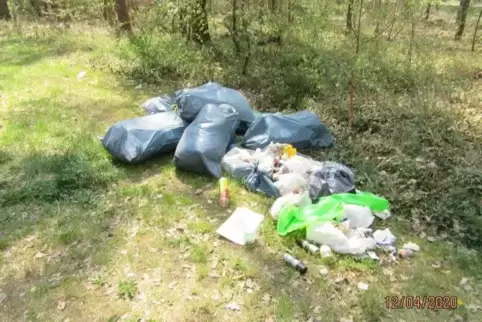 Zwischen Ganerb und Vier-Wege-Kreuzung bei Dudenhofen: ein Müllberg, über den sich RHEINPFALZ-Leser Rolf Hegmann ärgert. 