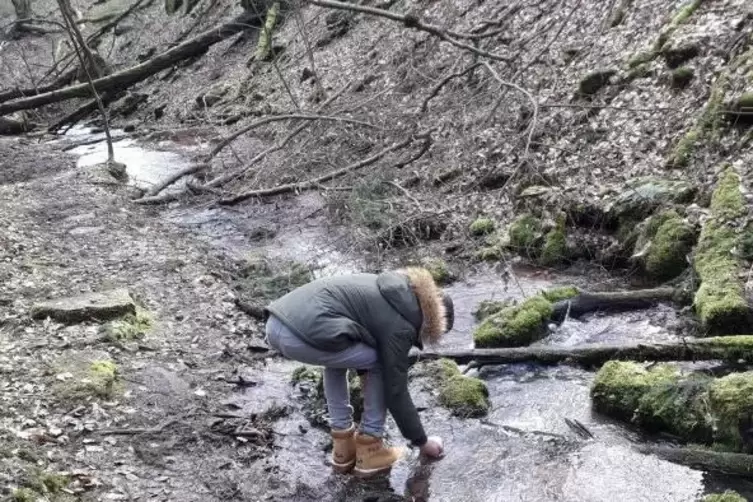 &Uuml;berregional eher wenig bekannt, ist die Kerbach-Klamm im Wald des Ostertals auf alle F&auml;lle einen Abstecher wert.