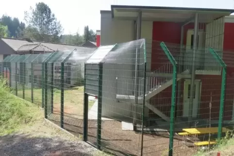 Auf Gruppenausflüge in den Wald wird derzeit im Rodalber Jugendheim verzichtet. Der Kontakt nach außen ist für die Jungen auch i