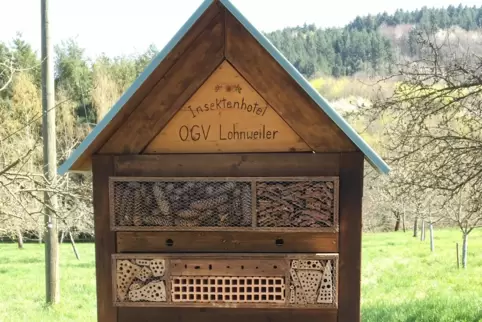 Insektenhotel OGV Lohnweiler steht über den „Hotelzimmern“, die mit verschiedenerlei Gewerk gefüllt sind. 
