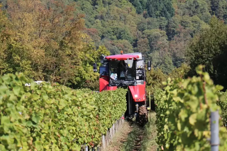 Den optimalen Weg finden: Forscher der TU sammeln Daten aus dem Weinbau, die es ermöglichen, die besten Wege ausfindig zu machen