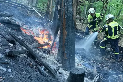 In mühsamer Kleinarbeit musste der Brand von den Feuerwehrleuten gelöscht werden.