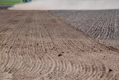 Die Landwirte zeigen sich bereits alarmiert , weil ihre Felder so trocken sind.