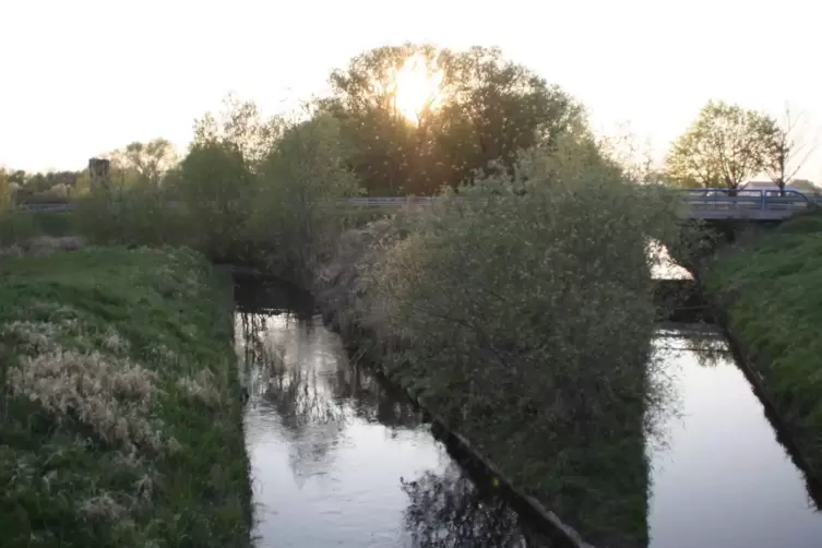Beim Eppsteiner Weg m&uuml;ndet der Flo&szlig;bach in die Isenach. Das Wasser des Flo&szlig;bachs kommt vom Neustadter Tal her, das der Isenach a