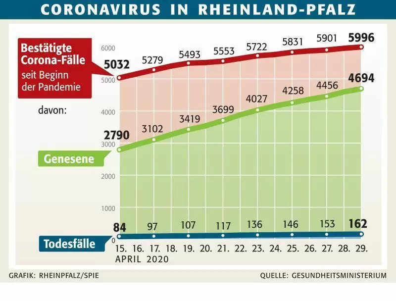 swzinfigene29.4