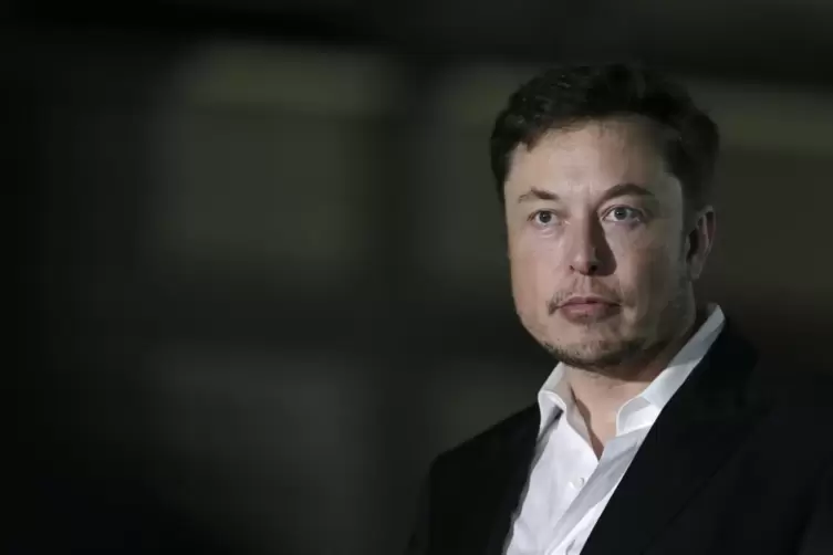 Dem milliardenschweren Tesla-Chef Elon Musk brannten in der Telefonkonferenz die Sicherungen durch. Es folgte eine Schimpftirade