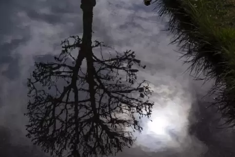 Der wolkige Himmel spiegelt sich in einer Pfütze – dieses Bild stammt aus Schleswig-Holstein.