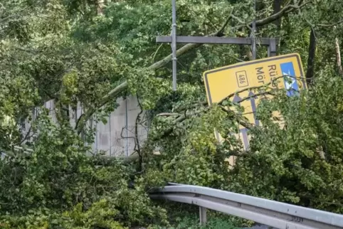 Allein In Rheinland-Pfalz wurden Schäden in Höhe von 97 Millionen Euro verursacht.