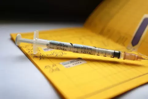 Bürger sollen Corona-Impfungen – wenn es sie denn gibt – im Impfpass dokumentieren. Eine Impfpflicht ist nicht vorgesehen. 