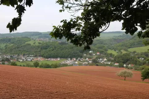 Landwirte beklagen eine zu geringe Menge an Regen. Unser Bild zeigt ein abgeerntetes Rapsfeld oberhalb von Theisbergstegen. 