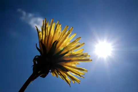Die Menschen in Rheinland-Pfalz können sich am Mittwoch auf sonniges Wetter freuen. 