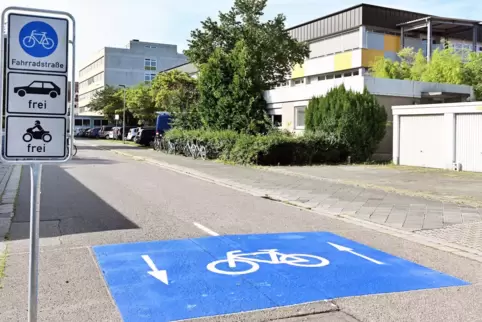Speyers einzige Fahrradstraße: Teil der Vincentiusstraße. Speyers einzige Fahrradstraße: Teil der Vincentiusstraße.