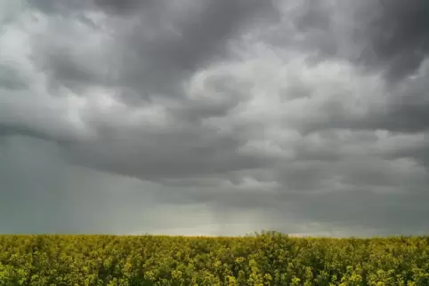 Am Samstag ziehen vor allem im Süden vermehrt Wolken auf, vereinzelt kann es auch Schauer geben.