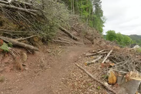 Oberhalb der Fichtenstraße ist der Rodalber Felsenwanderweg in Mitleidenschaft gezogen und nur auf schmalen Pfaden begehbar. 